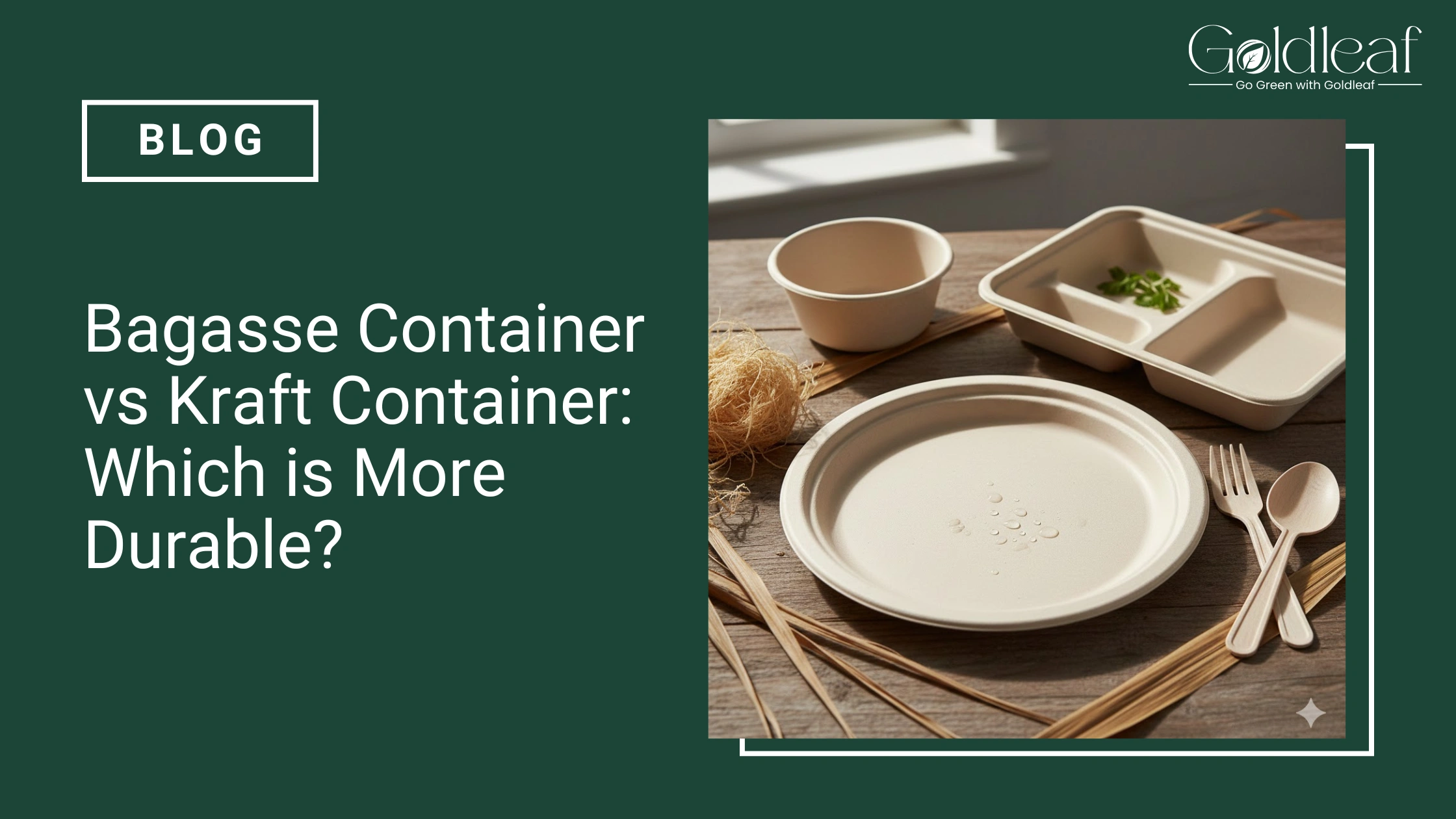 Bagasse Container Vs Kraft Container: Which Is More Durable?